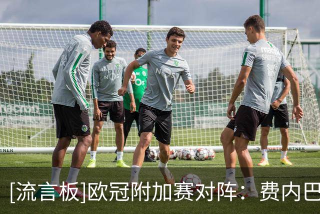 [流言板]欧冠附加赛对阵：费内巴切vs里昂，奈梅亨vs博德闪耀